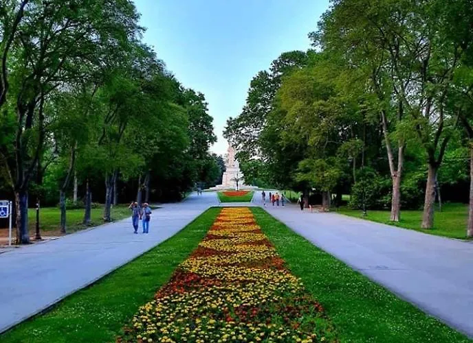 Apartment Deluxe Center