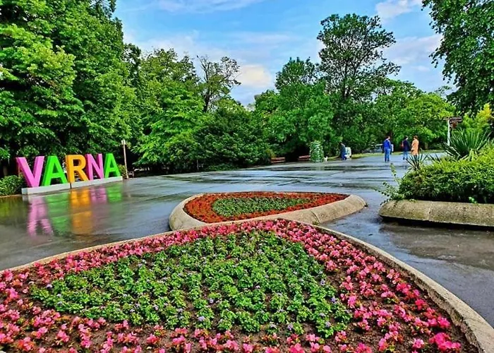 Apartment Deluxe Center